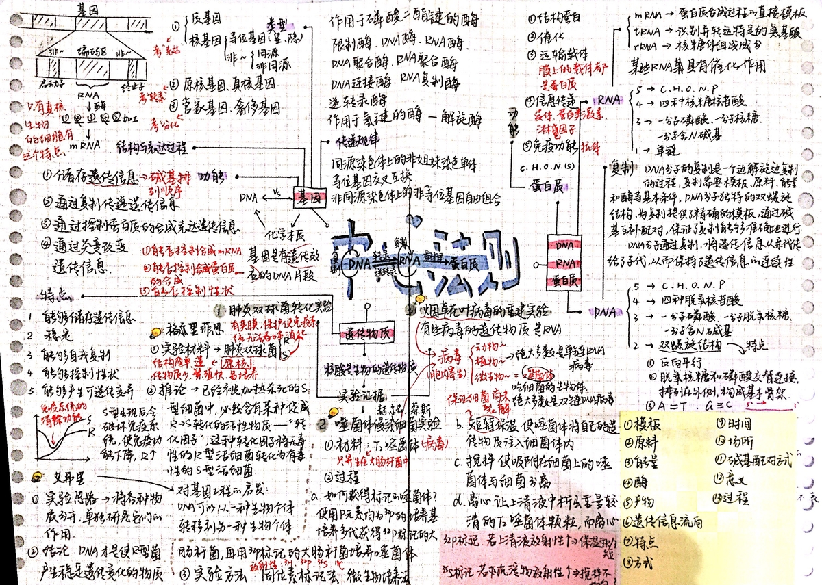 central Dogma