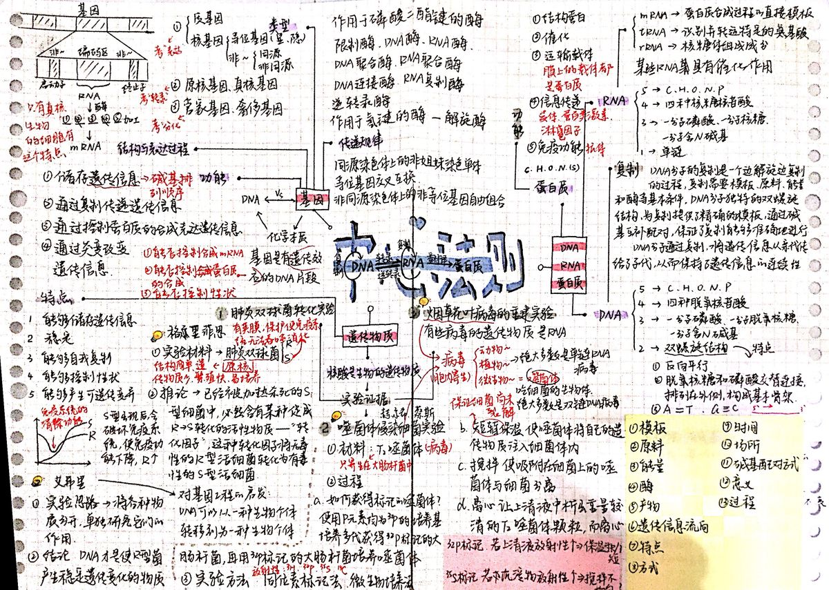 中心法则