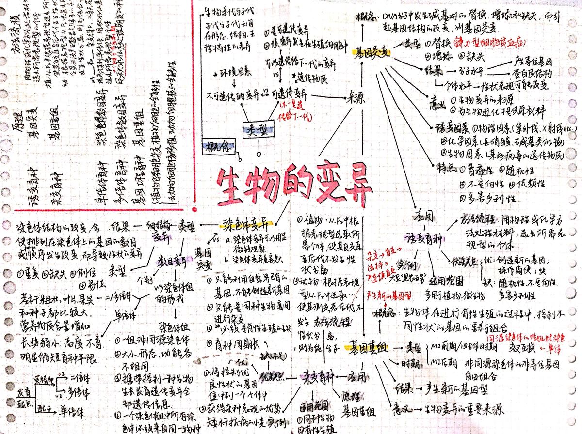 生物变异