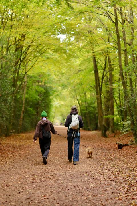 Epping Forest