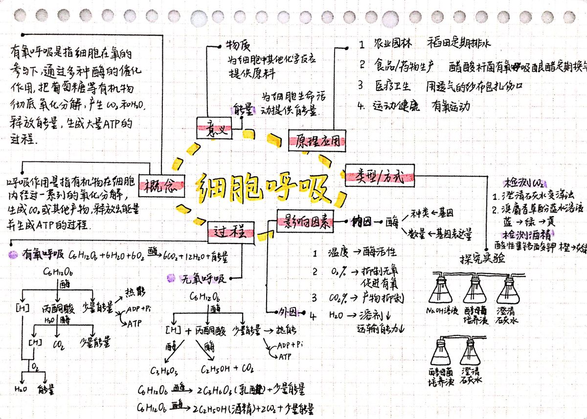 细胞呼吸