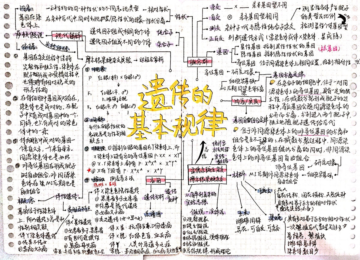 Laws of Heredity