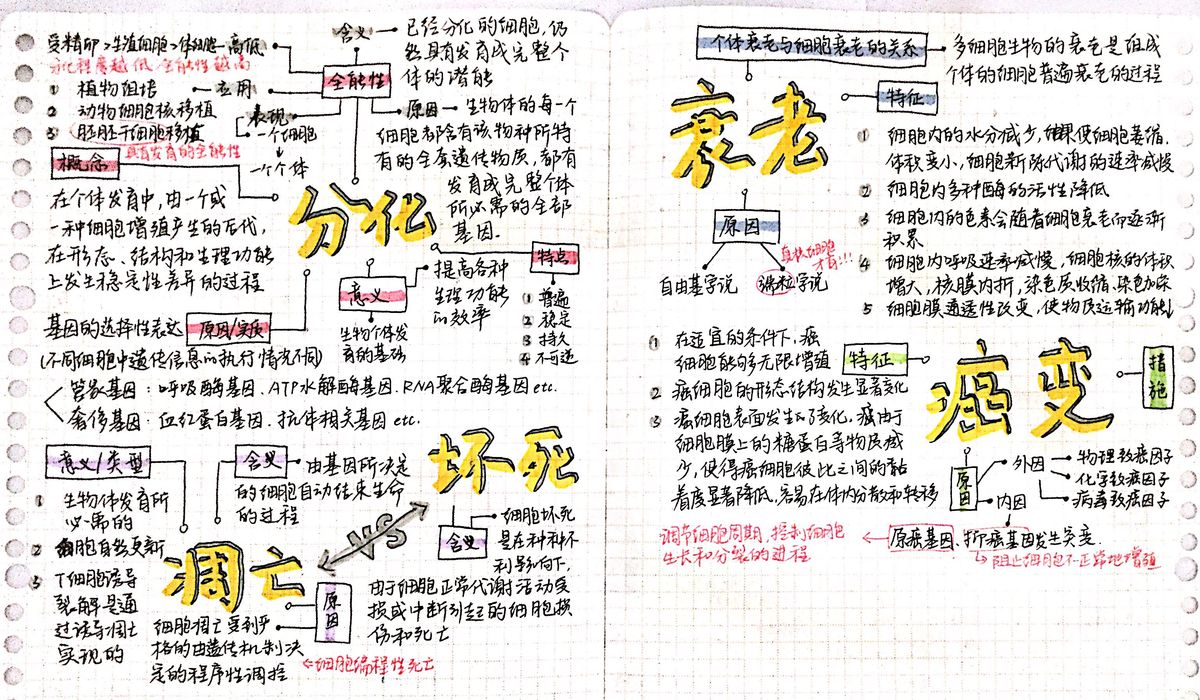 细胞生命