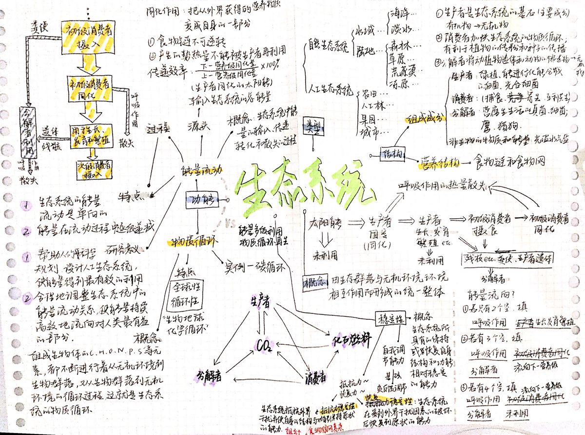 生态系统