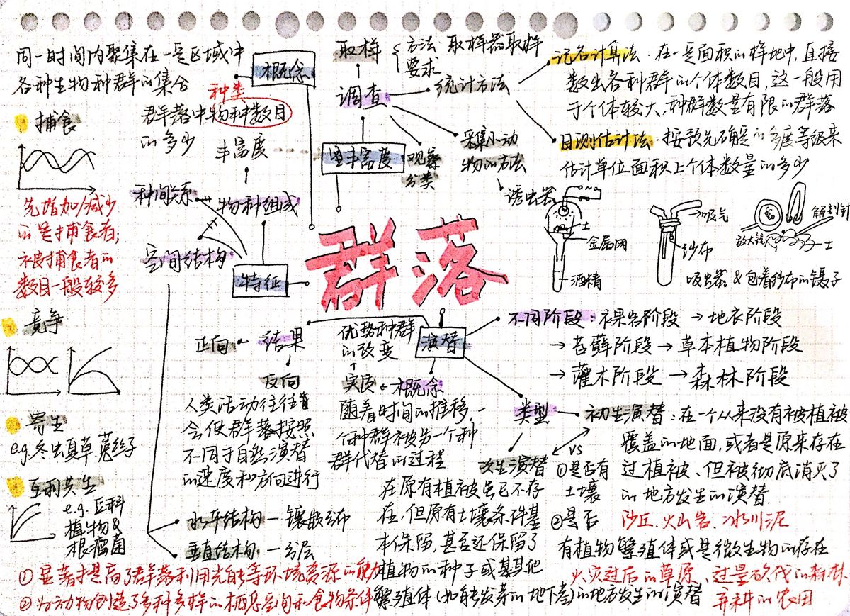 群落